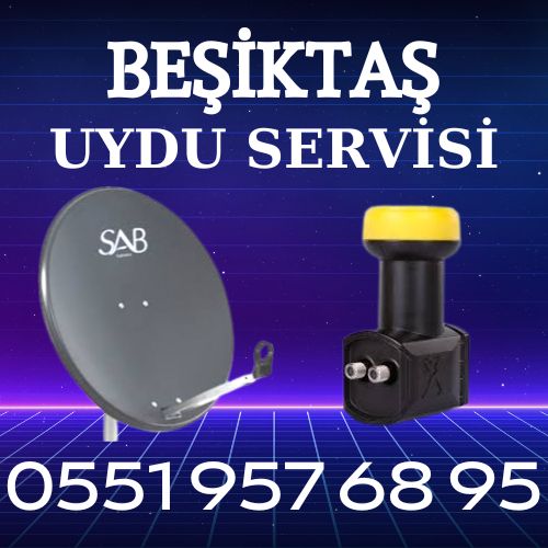 Beşiktaş Uydu Servisi