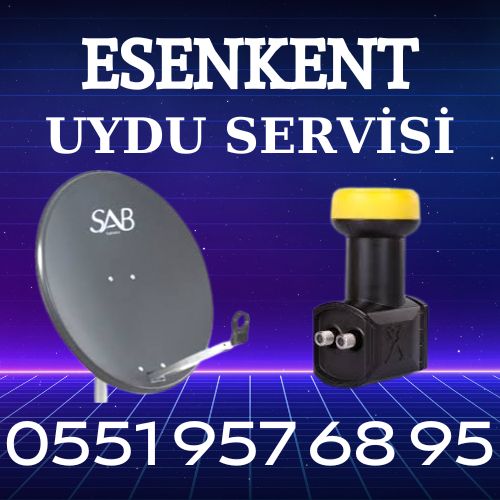 esenkent-mahallesi-uydu-servisi Esenkent mahallesi Uydu Servisi