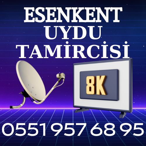 esenkent-mahallesi-uydu-tamircisi Esenkent mahallesi Uydu Tamircisi
