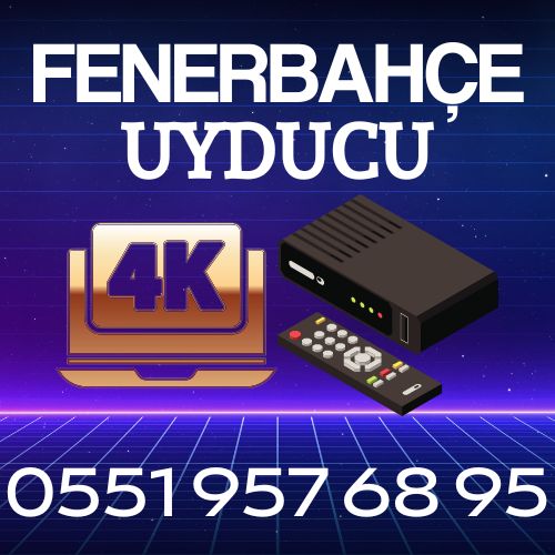 Fenerbahçe Uyducu