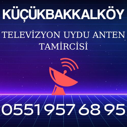 Küçükbakkalköy Uydu Anten Servisi