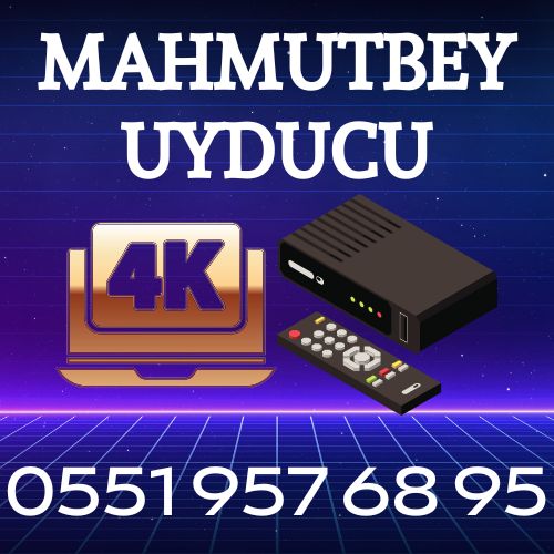 Mahmutbey Uyducu