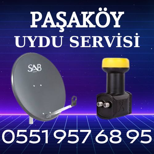 Paşaköy Uydu Servisi
