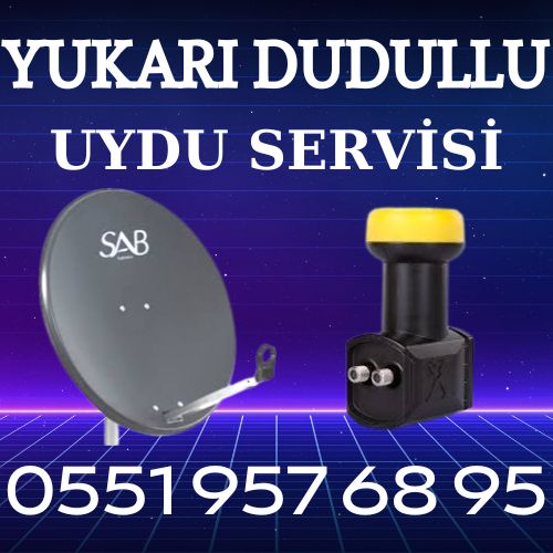 Yukarı Dudullu mahallesi Uydu Servisi