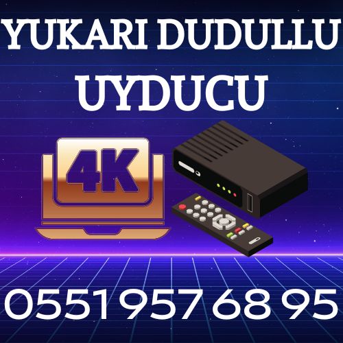 Yukarı Dudullu mahallesi Uyducu